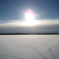 Озеро :: Anna Ivanova