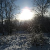 Утро :: Anna Ivanova