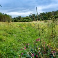 Сентябрь. :: Владимир Безбородов