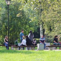 Роща. :: Венера Чуйкова