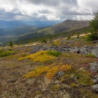 Краски осени :: Евгений Тарасов 