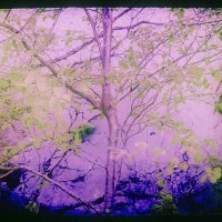 Назва. отсу. :: Денис Безногов