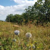 ПОХОД НА ЛАГО НАКИ :: Tata Wolf