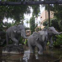 Пхукет :: Андрей Пхукет :: Андрей