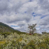 Под небом Огненной Земли... :: Владимир Жданов Под небом Огненной Земли... :: Владимир Жданов