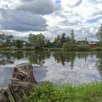 Сельский пруд. :: Alexandr Gunin