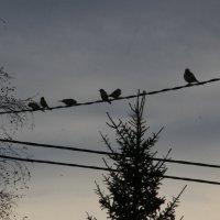 Посиделки. :: Любовь 