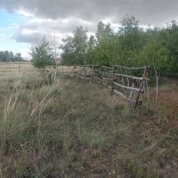 Сельский пейзаж :: Андрей Хлопонин Сельский пейзаж :: Андрей Хлопонин