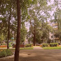 Мой двор. :: Владимир Драгунский Мой двор. :: Владимир Драгунский