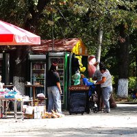 Хороший солнечный день :: Юрий Гайворонскiий