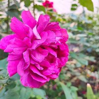 ,,, :: Сергей Тимоновский