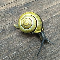 ***** :: ИННА ПОРОХОВА