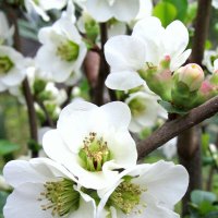 Лучше нету того свету ..... :: Валерий 