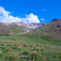 ПРИТОК ОЙГАИНГА. h- 2600м. :: Виктор Осипчук