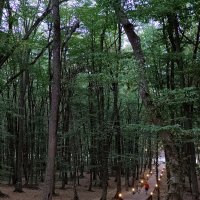 Лесо-парковая зона отдыха...Вечерняя прогулка :: tatyana 