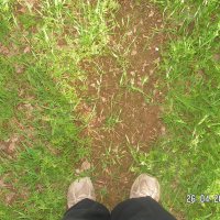 тропинка :: fogmeadowww m