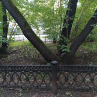 "Вилы Тритона" :: Редкий Гость