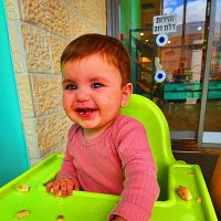 НЕСИ   ДЕСЕРТ :: Анатолий Малобродский