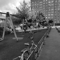 "взлетая выше ели,неведомо куда..." :: Артём 