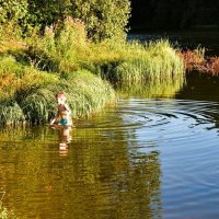 Смелый и шустрый малыш гоняет диких уток на озере. :: Милешкин Владимир Алексеевич Смелый и шустрый малыш гоняет диких уток на озере. :: Милешкин Владимир Алексеевич