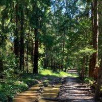 *** :: Владимир Безбородов *** :: Владимир Безбородов