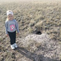 Искатель Марьяна. :: Андрей Хлопонин