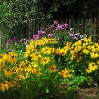 В саду :: Людмила Смородинская