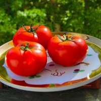 *** :: Роланд Дубровский *** :: Роланд Дубровский