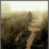 утро :: Aleksandr Gal