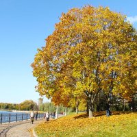СОЛНЕЧНЫЙ ОСЕННИЙ ДЕНЬ В ПАРКЕ :: Валентина СОЛНЕЧНЫЙ ОСЕННИЙ ДЕНЬ В ПАРКЕ :: Валентина