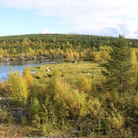 У Нивы :: Ольга 