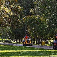 Малая механизация ! И что так привлекло водителя,,,) :: Анатолий Колосов