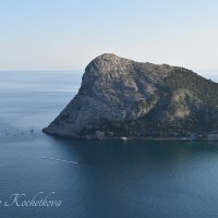 Природа Крыма :: Amazing Cosmea