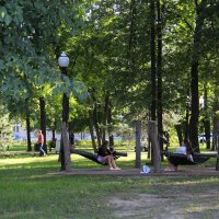 В парке на набережной Рыбинска. :: Любовь 