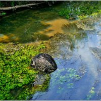 ЗТЮД... :: Elvira E. ЗТЮД... :: Elvira E.