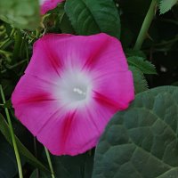 ,,, :: Сергей Тимоновский