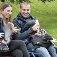 Пернатый рекет. :: Валерий Пославский