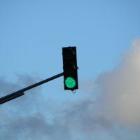 freedom :: Анна Камс