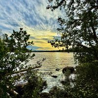 На берегу залива :: Сергей Б.