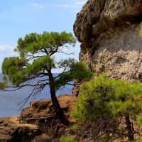 ** :: Vlad Сергиевич