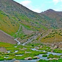 ПРИТОК ОЙГАИНГА. h- 2700м. :: Виктор Осипчук