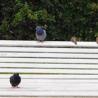 /// :: Виктор Никитенко