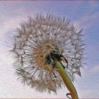 Кто живёт в одуванчике?! :: Валентина Нефёдова Кто живёт в одуванчике?! :: Валентина Нефёдова