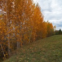 На пригорке Осень :: IRinA*** 
