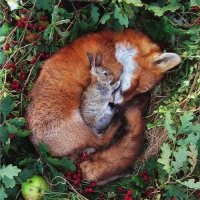 МАМА...:) :: Валерий Кокорев