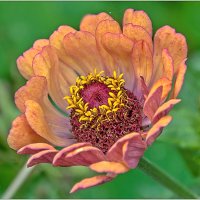 Просто уходило лето... :: Aquarius - Сергей Просто уходило лето... :: Aquarius - Сергей