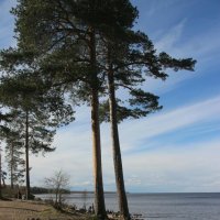 Ладожское Озеро :: Наталья Герасимова