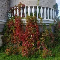 Верный признак осени :: Андрей Лукьянов