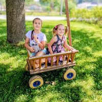 По зоопарку на транспорте ) :: Veera V По зоопарку на транспорте ) :: Veera V