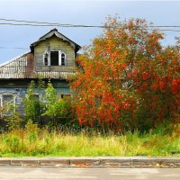Дом у дороги. Осень. :: Любимова Ольга 